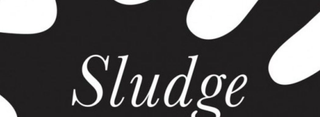 Sludge with Cass Sunstein